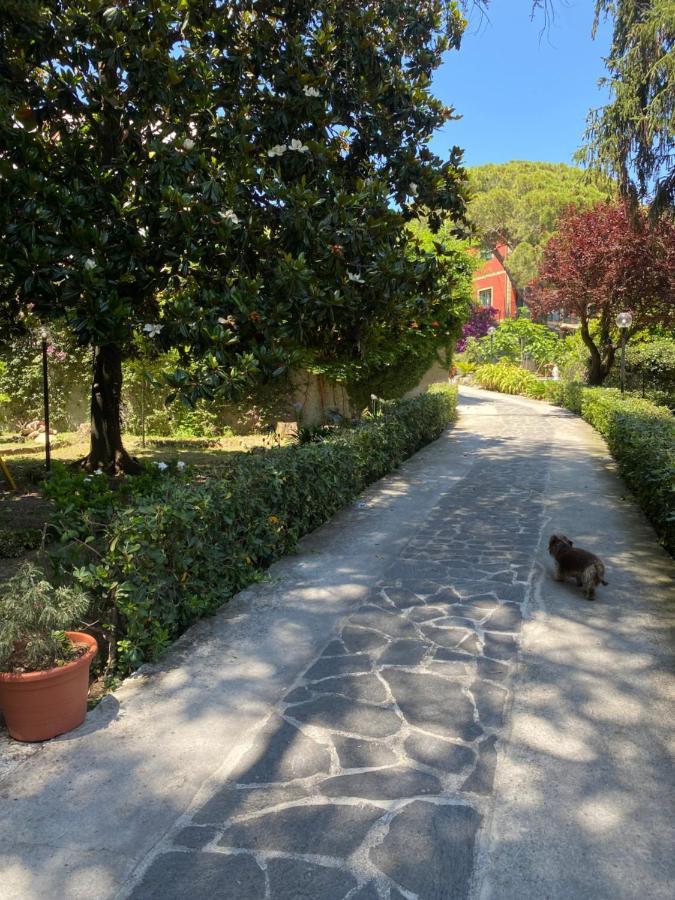 Le Magnolie Bed & Breakfast Santa Margherita Ligure Dış mekan fotoğraf